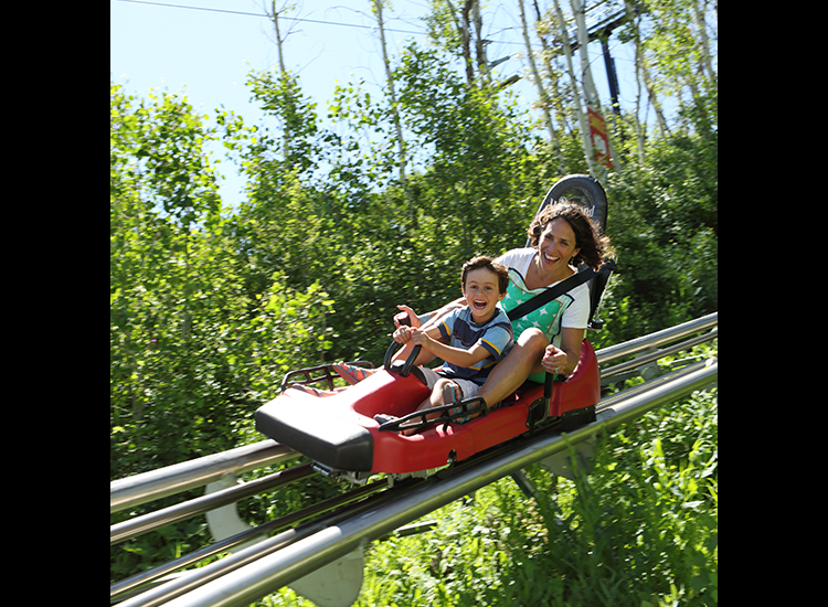 alpine coaster
